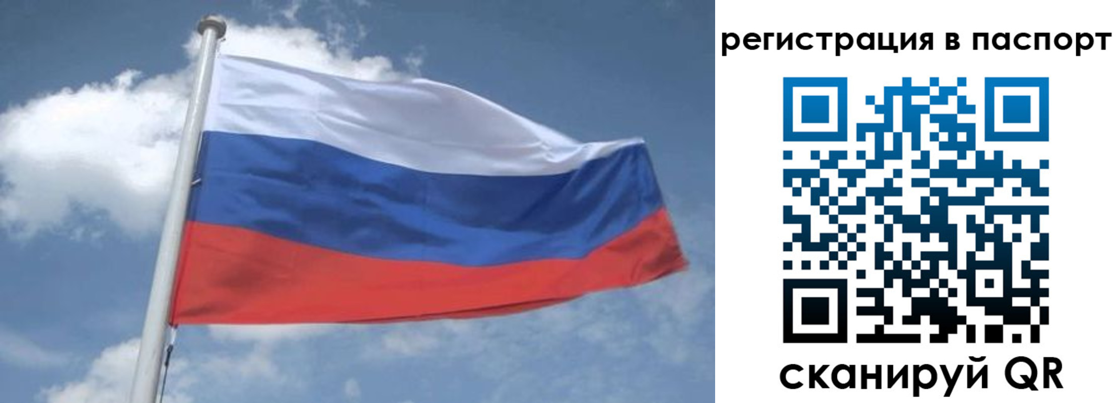 временная регистрация надежно в Каргополе